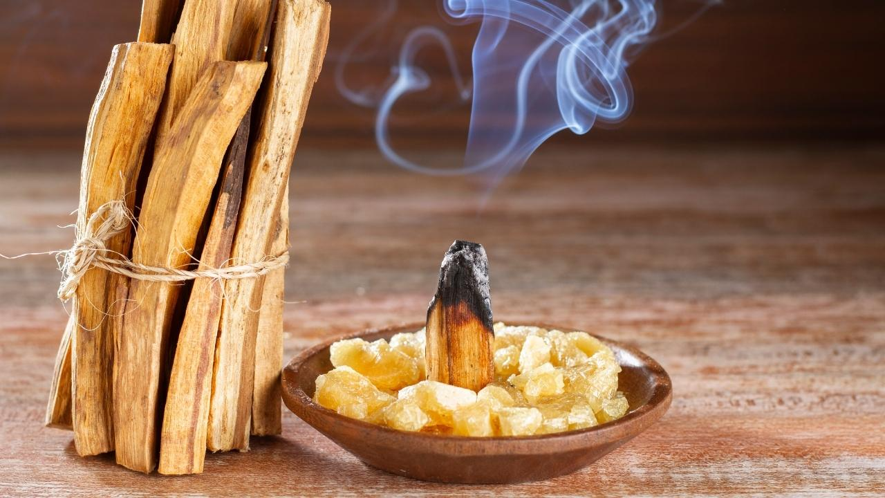 PALO DE SANTO